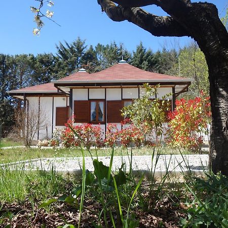 B&B The Lodge Potenza Exterior photo